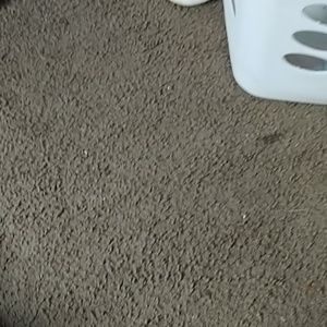 Meet your Posher, Mason